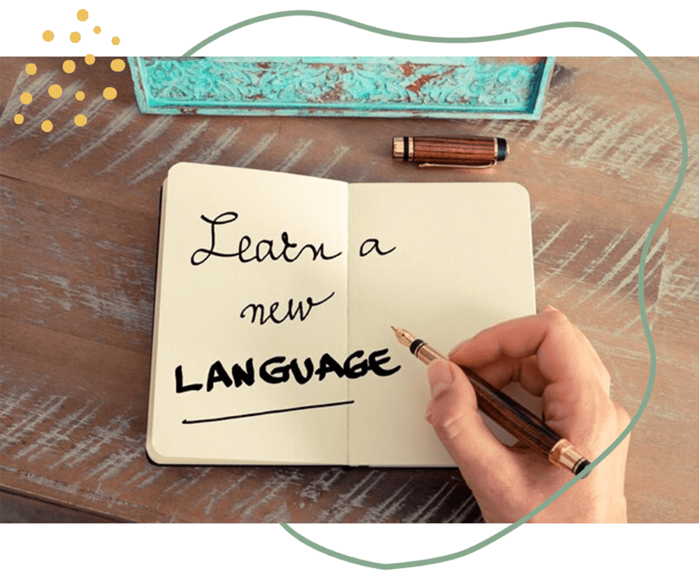 Why Learn German