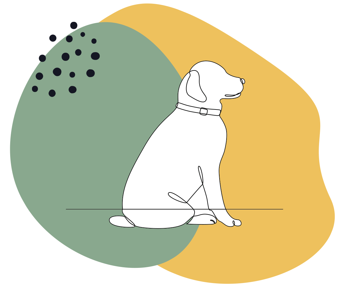 Dog adoption
